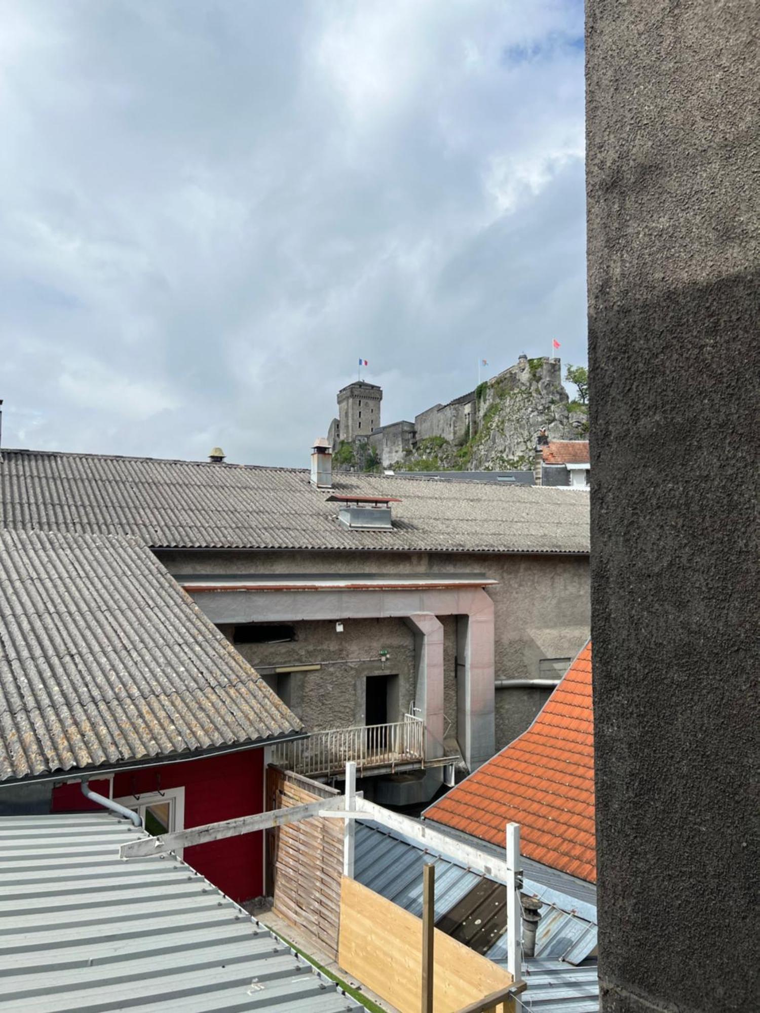 Residence Sainte Therese - La Villa Selva Lourdes Extérieur photo